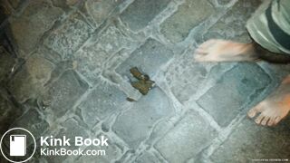 Steping on dog poop barefoot