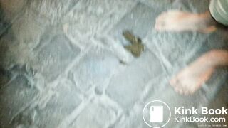 Steping on dog poop barefoot