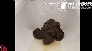 Shit And Fart Collection