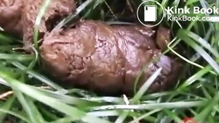 Outdoor Shits 2 (1/4)