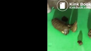 redhead shit compilation