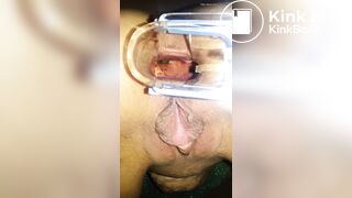 Peek a boo - video 3