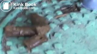 Beautiful woman defecating