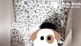 Ông bạn được vợ ỉa vào miệng