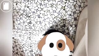 Ông bạn được vợ ỉa vào miệng