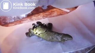 Multiple close up poops on bathroom floor 1