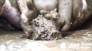 fat bitch smear-no vids no friendship