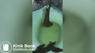 Korean girl diarrhea 12 - video 2