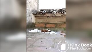 Joy angel pooping outside