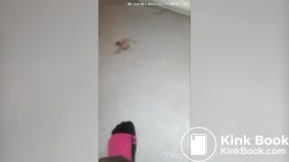 wife's best poops 2020 edition