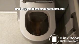 ICE Toilet Flush