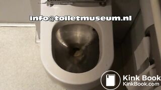 ICE Toilet Flush