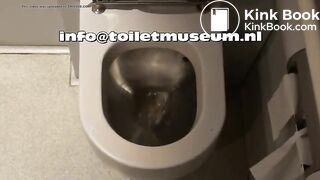 ICE Toilet Flush