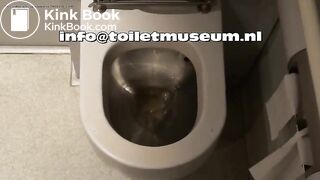 ICE Toilet Flush