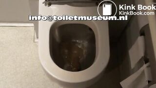 ICE Toilet Flush