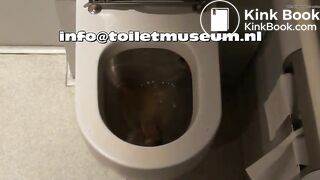 ICE Toilet Flush