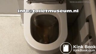ICE Toilet Flush