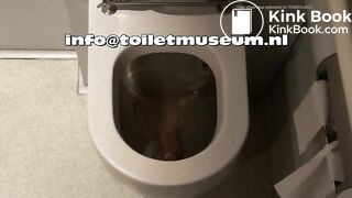 ICE Toilet Flush