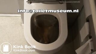 ICE Toilet Flush