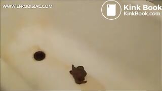 Poop and piss - video 4