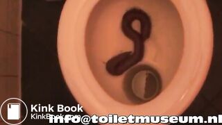 Turd flush dutch toilet