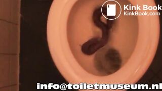 Turd flush dutch toilet