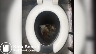 poop composttoilet