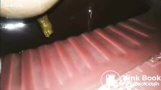 Asian girl pooping in toilet - video 2