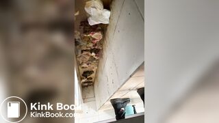 Chinese girl pooping - video 31