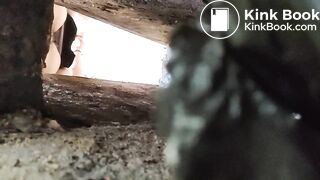 CHINESE GIRL TOLIET POOPING