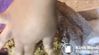 Slave gets shit faced