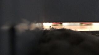 Kiera pooping on toilet