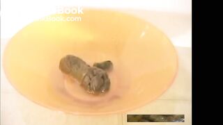 Thick Poop off Tub