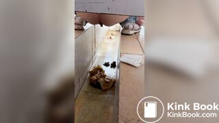 Chinese girl with diarrhea after eating barbecue