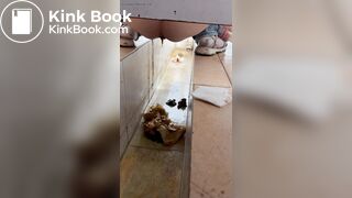 Chinese girl with diarrhea after eating barbecue