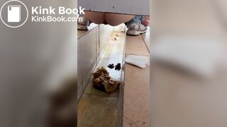 Chinese girl with diarrhea after eating barbecue