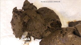 Buried in Giantess Shit