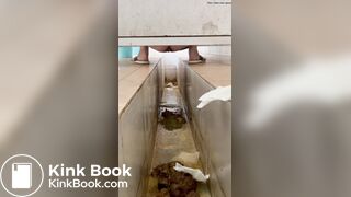 A stomachache Chinese girl with diarrhea