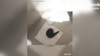 KOREAN WOMAN POOPING - video 14