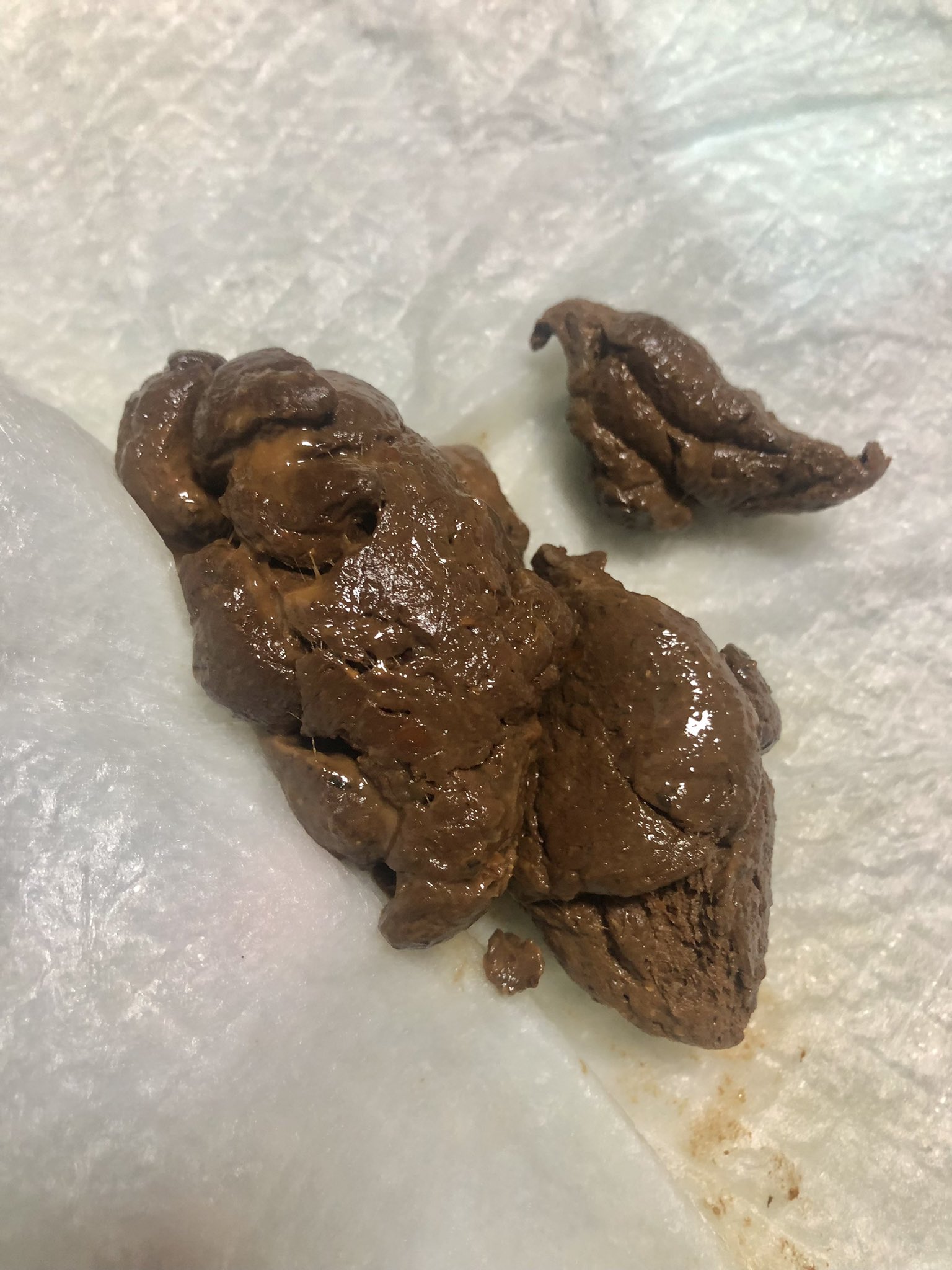 Poop at night