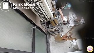 Japanese pooping - video 109