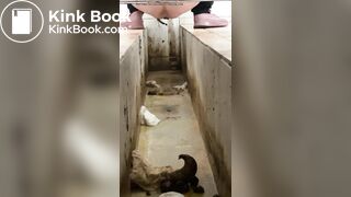 A Chinese girl have explosive diarrhea