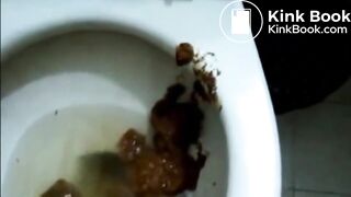 Woman spreads ass and shits on toilet