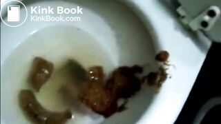 Woman spreads ass and shits on toilet