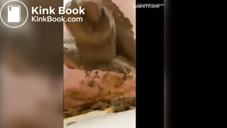 Shit in pussy - video 4