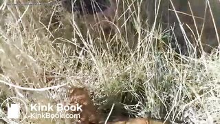 Blonde shits outdoor near the road