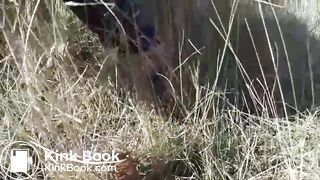 Blonde shits outdoor near the road