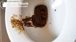 Ebony Bbw toilet shits