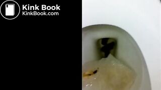 Same pretty lady pooping at work twice