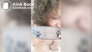 eating poop in a dog bowl